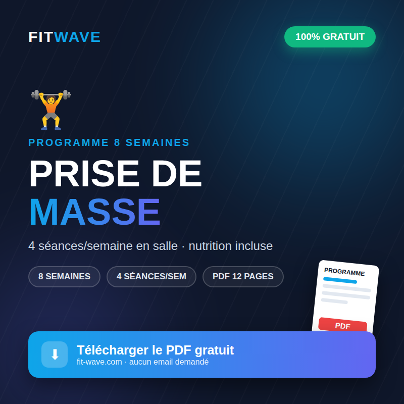 Programme de musculation prise de masse PDF gratuit FitWave — 8 semaines, 4 séances par semaine