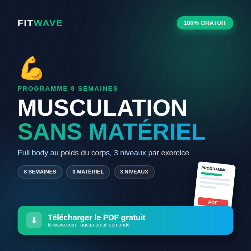 Programme musculation sans matériel PDF gratuit FitWave — full body au poids du corps